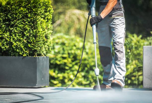 Best Roof Washing  in Mead, CO
