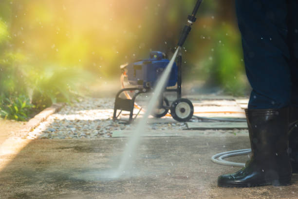 Best Roof Washing  in Mead, CO
